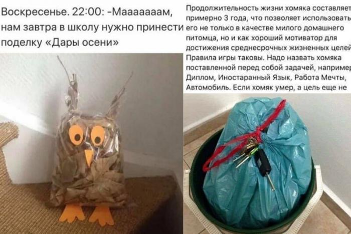 Годные идеи с просторов Интернета (14 фото)