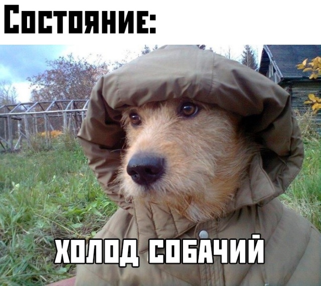 Подборка прикольных фото №2212 (65 фото)