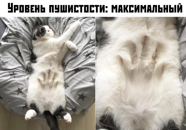 Подборка прикольных фото (65 фото)