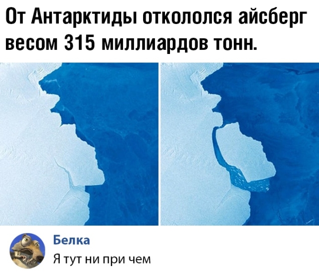 Подборка прикольных фото (59 фото)