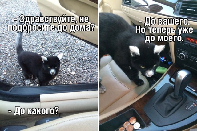 Подборка прикольных фото (63 фото)