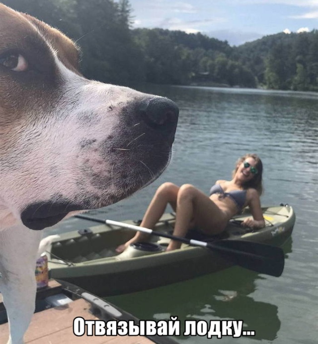 Подборка прикольных фото (63 фото)