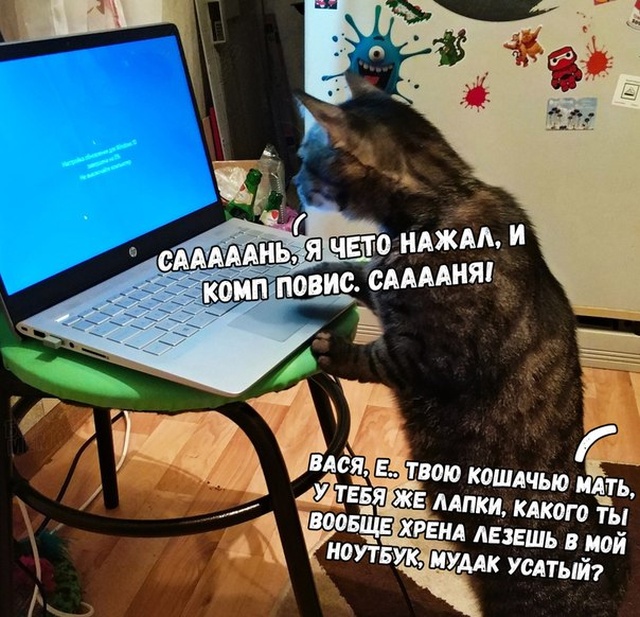 Подборка прикольных фото №2223 (65 фото)