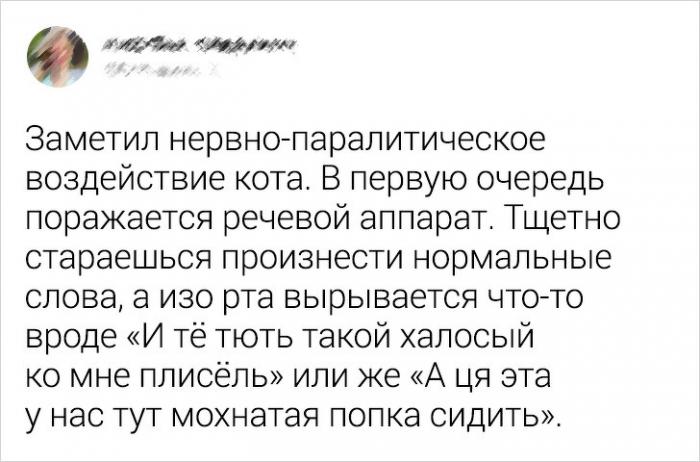 Подборка твитов от пользователей с чувством юмора (14 скриншотов)