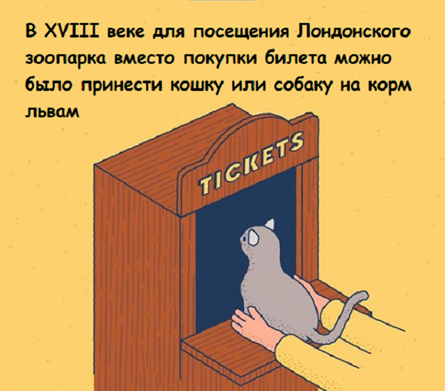 Подборка веселых картинок с занятными фактами обо всем (22 фото)