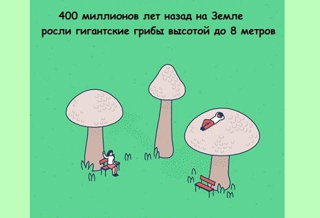 Подборка веселых картинок с занятными фактами обо всем (22 фото)