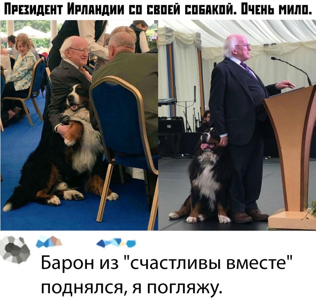 Подборка прикольных фото (61 фото)