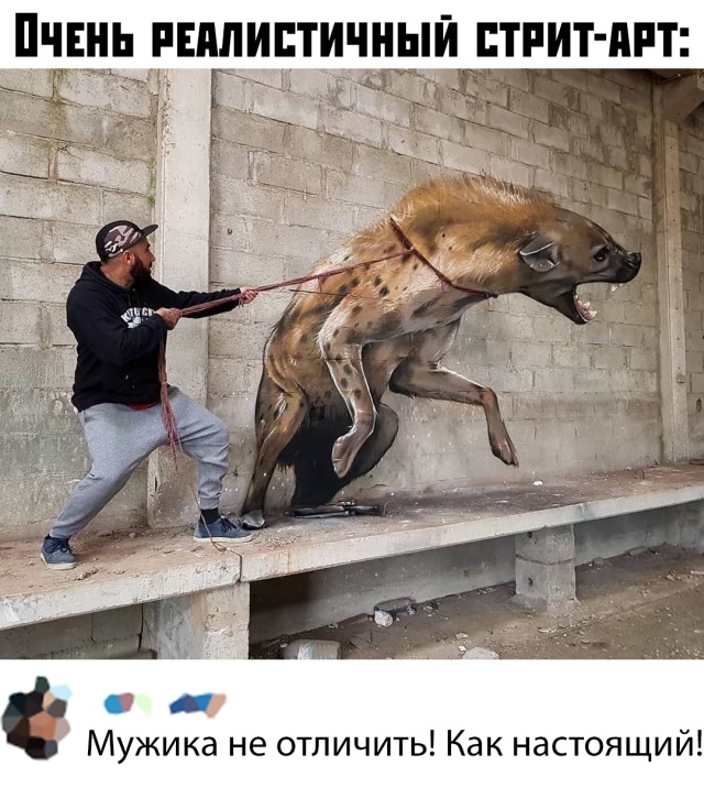 Подборка прикольных фото (66 фото)