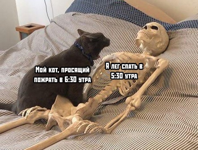 Подборка прикольных фото (68 фото)