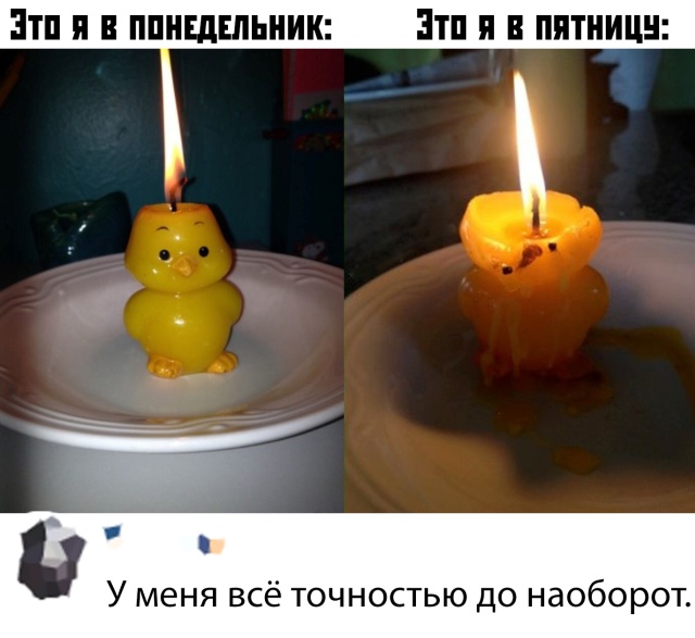 Подборка прикольных фото №2235 (65 фото)