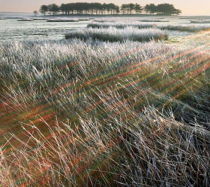 Радуга в самых необычных местах (30 фото)