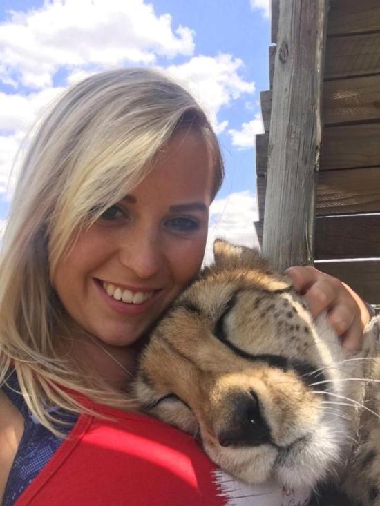 Она спасла котенка гепарда от охотников за трофеями (8 фото) Она спасла котенка гепарда от охотников за трофеями (8 фото)