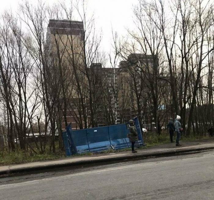 Ураган в Ярославле повалил деревья, сломал светофоры (11 фото)