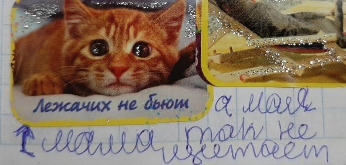 Повзрослевшие пользовательницы поделились забавными цитатами (20 фото)