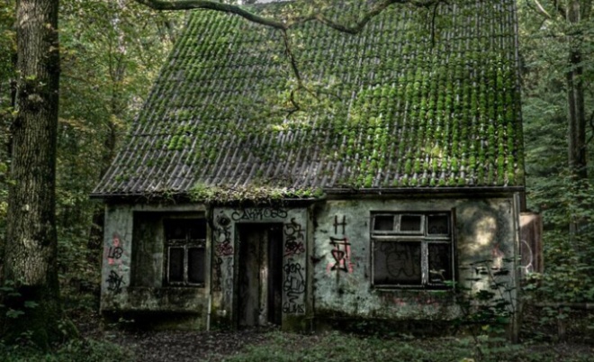 Странные и необычные находки, сделанные в лесах (12 фото)
