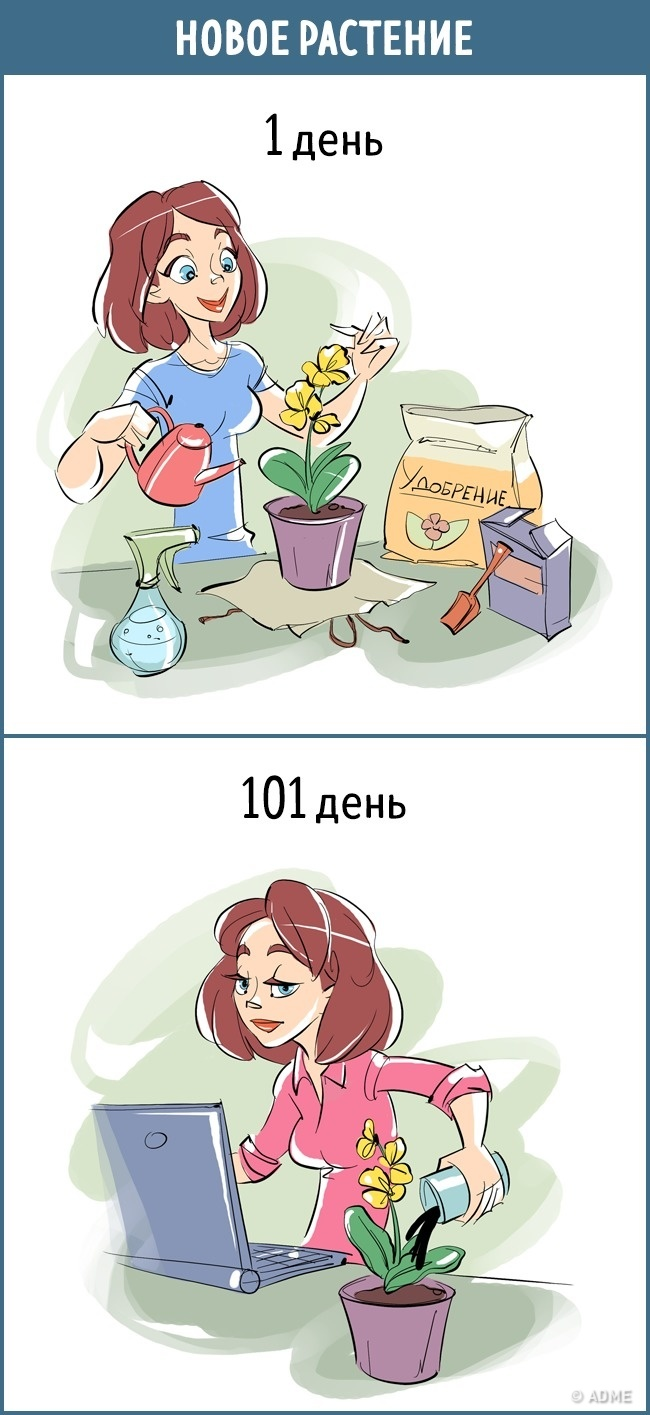 Правдивые комиксы о том, как мы относимся к вещам (11 фото)
