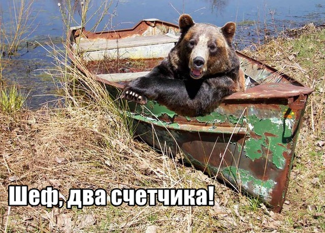 Подборка прикольных фото №2255 (75 фото)