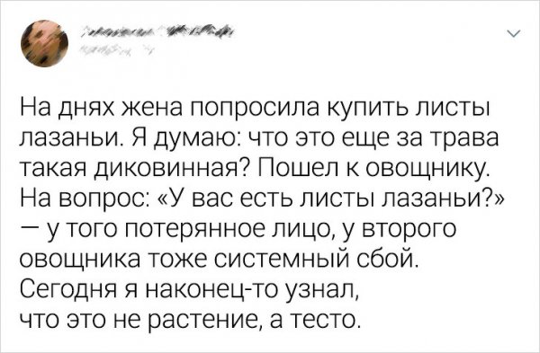 Курьезы и мужская логика (15 фото)
