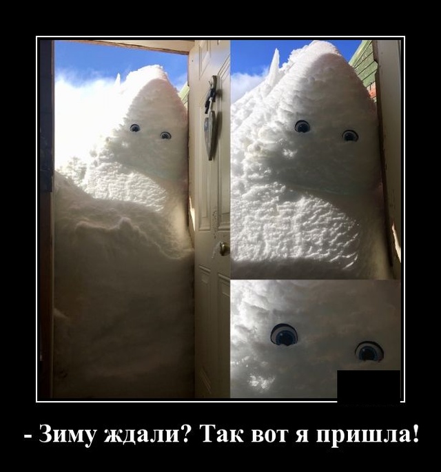 Демотиваторы №2257 (20 фото)