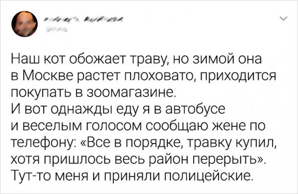 Подборка "нежданчиков" и неудач (15 фото)