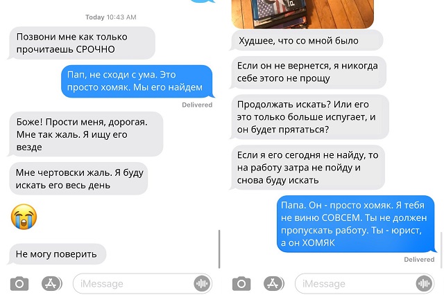 История о том, как отец потерял любимого хомяка своей дочки (3 фото)