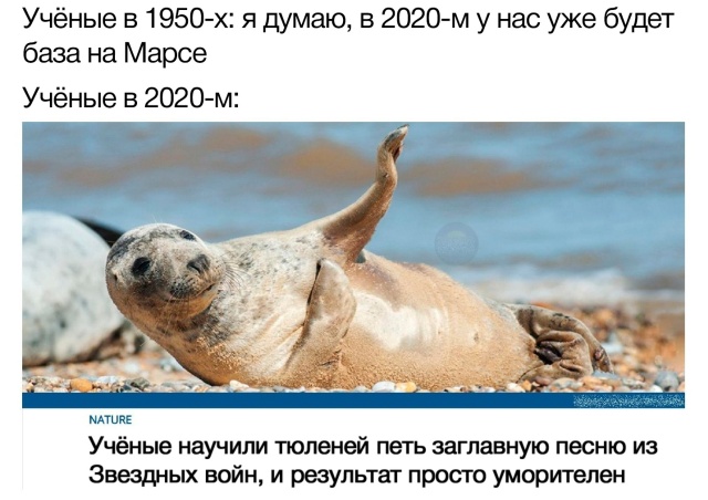 Подборка прикольных фото (68 фото)
