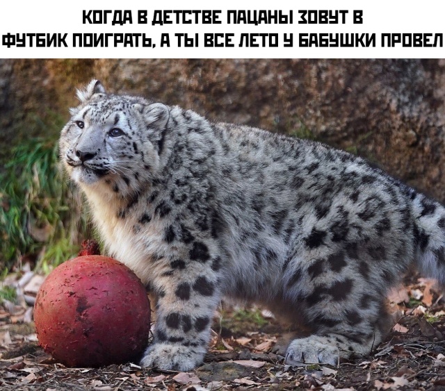 Подборка прикольных фото (67 фото)