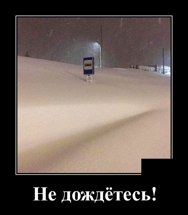 Демотиваторы №2263 (20 фото)