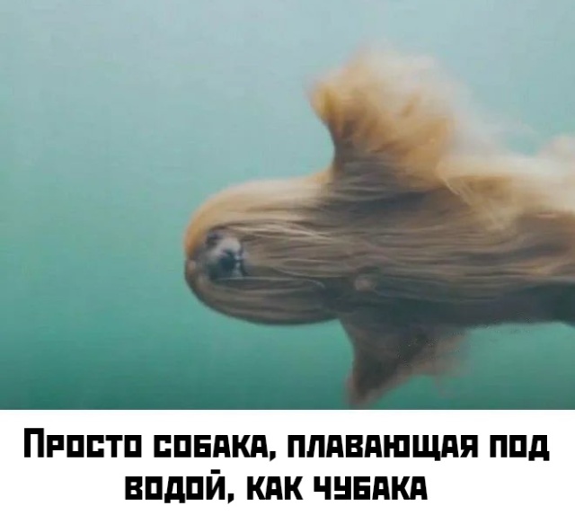     (65 )