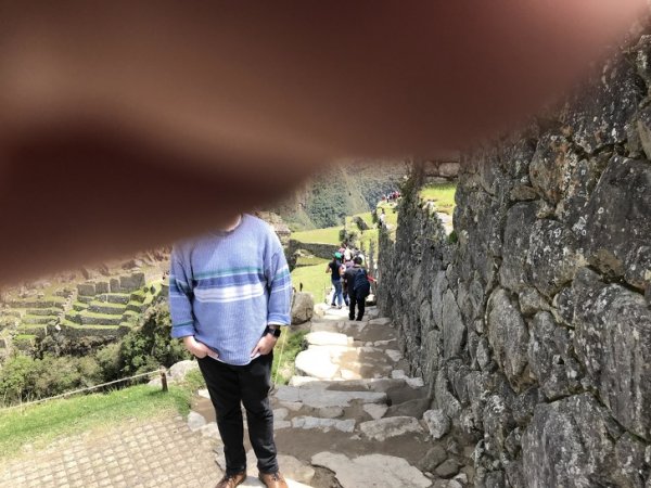 Веселые семейки, в которых не соскучишься Веселые семейки, в которых не соскучишься
