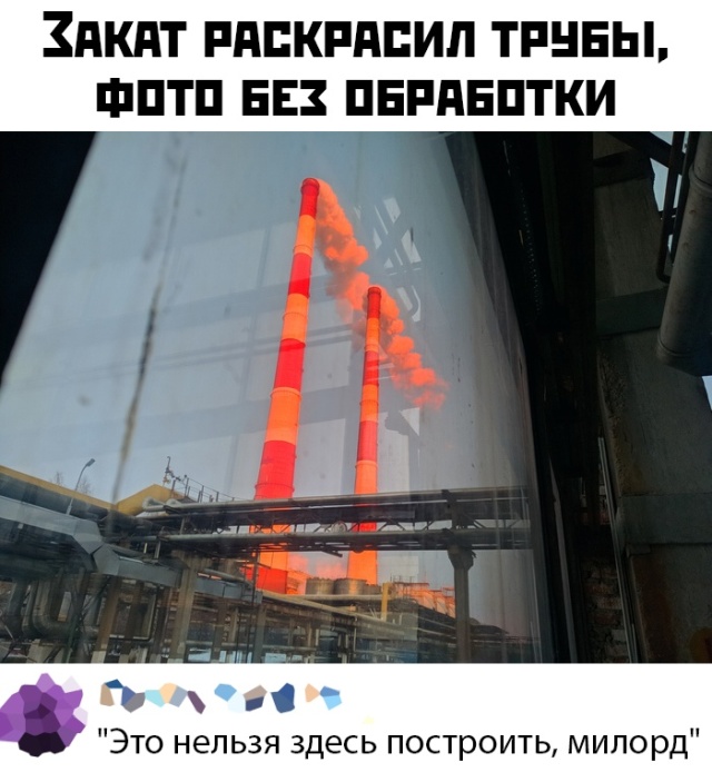 Подборка прикольных фото (64 фото)