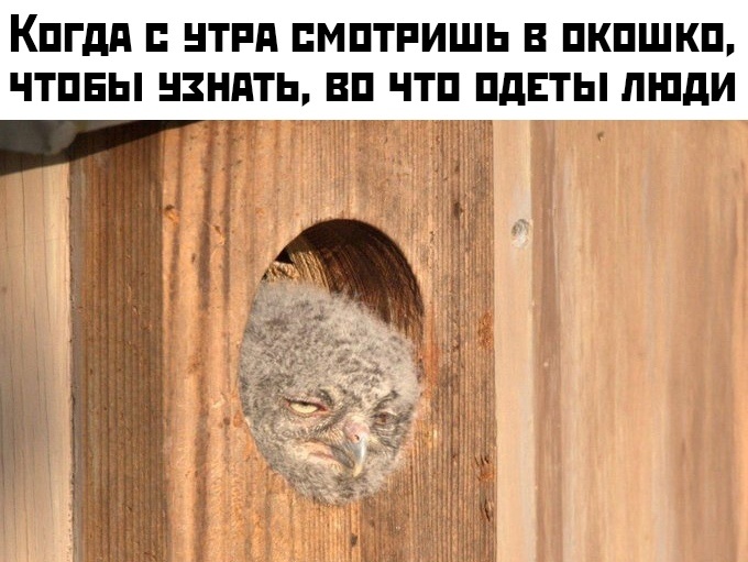 Подборка прикольных фото (62 фото)