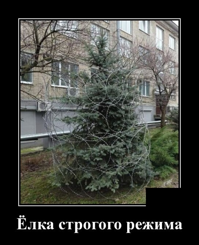 Демотиваторы №2272 (20 фото)
