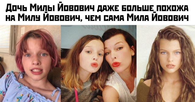 Подборка прикольных фото (65 фото)