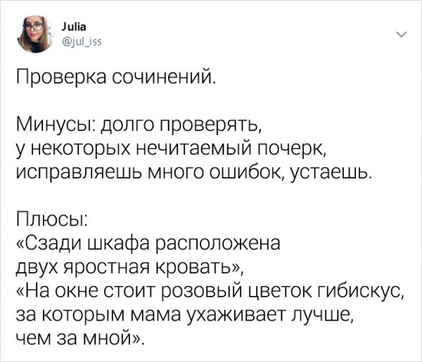 Забавные и правдивые твиты о школьной жизни от учительницы (25 фото)