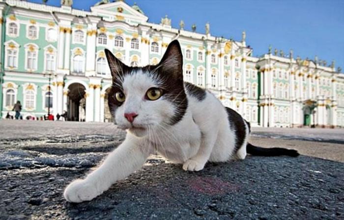 5 необычных товарных знаков (5 фото)