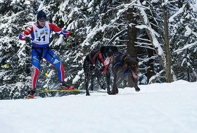 Гонка на собачьих упряжках «По земле Сампо» (33 фото) Гонка на собачьих упряжках «По земле Сампо» (33 фото)