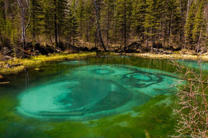 Гейзерное (Голубое) озеро. Алтай (8 фото) Гейзерное (Голубое) озеро. Алтай (8 фото)