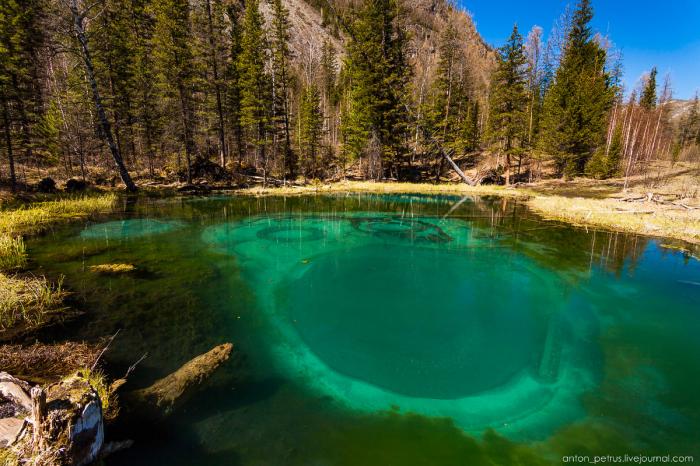 Гейзерное (Голубое) озеро. Алтай (8 фото) Гейзерное (Голубое) озеро. Алтай (8 фото)