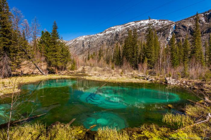 Гейзерное (Голубое) озеро. Алтай (8 фото) Гейзерное (Голубое) озеро. Алтай (8 фото)