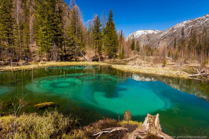Гейзерное (Голубое) озеро. Алтай (8 фото) Гейзерное (Голубое) озеро. Алтай (8 фото)