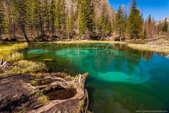Гейзерное (Голубое) озеро. Алтай (8 фото) Гейзерное (Голубое) озеро. Алтай (8 фото)