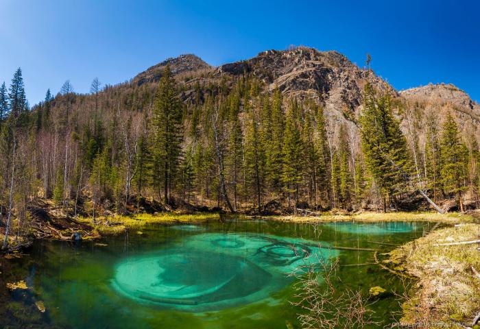 Гейзерное (Голубое) озеро. Алтай (8 фото) Гейзерное (Голубое) озеро. Алтай (8 фото)