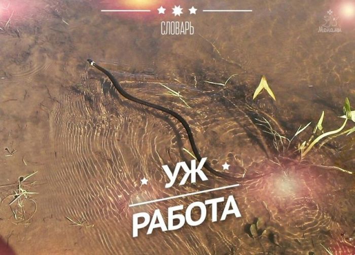 Прикольные слова из удмуртского языка (35 фото) Прикольные слова из удмуртского языка (35 фото)