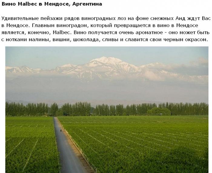 Путешествие для любителей экзотического алкоголя (20 фото) Путешествие для любителей экзотического алкоголя (20 фото)