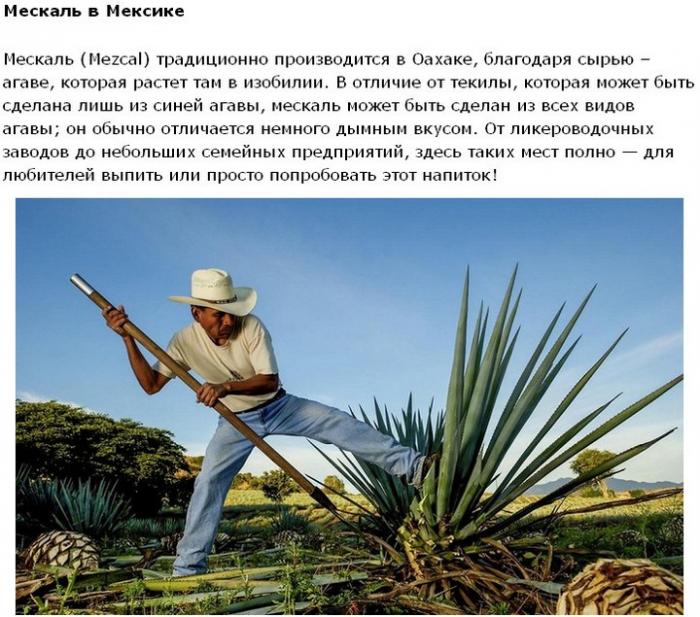 Путешествие для любителей экзотического алкоголя (20 фото)