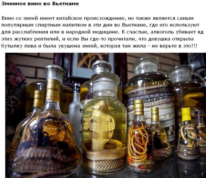 Путешествие для любителей экзотического алкоголя (20 фото) Путешествие для любителей экзотического алкоголя (20 фото)