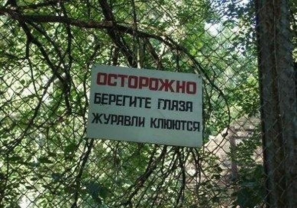 Забавные объявления (15 фото)