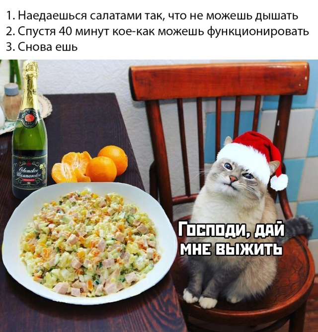 Подборка прикольных фото №2281 (65 фото)