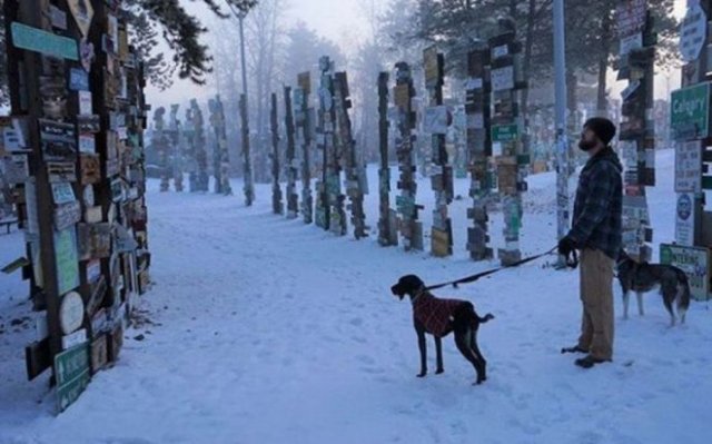 90 000 дорожных знаков в одном из лесов Канады (7 фото)